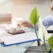 Misconceptions About Tax Lawyers