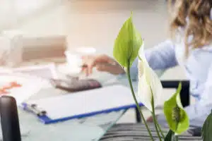 Misconceptions About Tax Lawyers